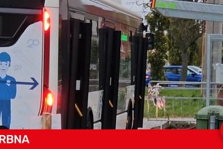 Zastávka, ke které nezajede autobus. Cestující z Prostějova řeší, kde se stala chyba